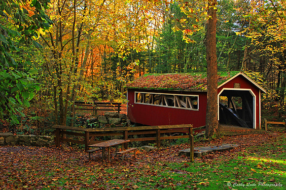 Burr Arch Covered Bridge