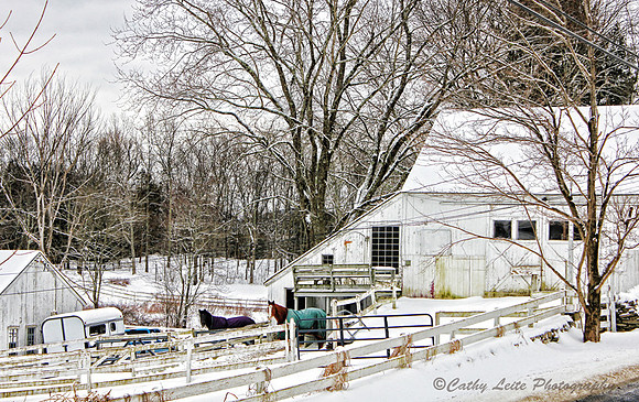 Rustic Winter Scene
