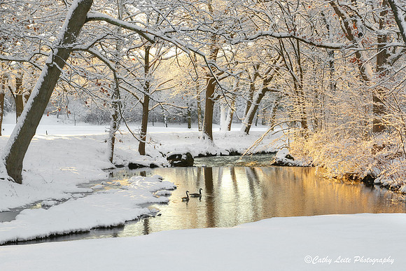 Winter Sunrise