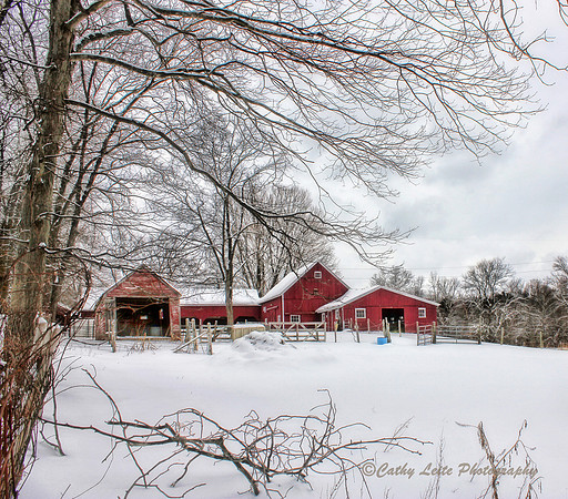 Snowy North Barn
