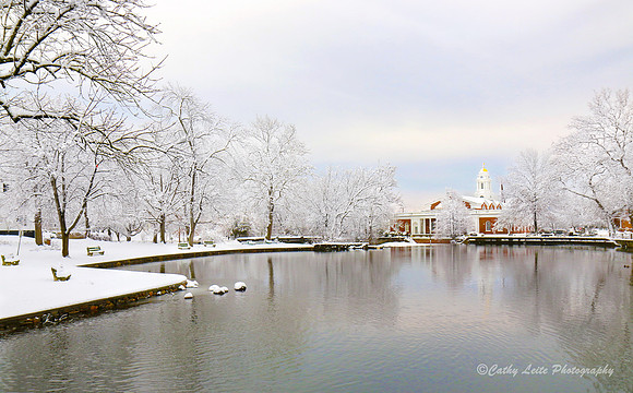 Wintry Town Hall