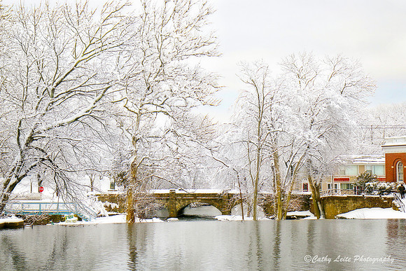 Snowy Bridge