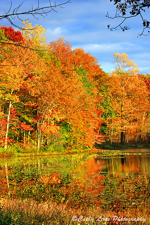 Autumn on the Lake-Vertical