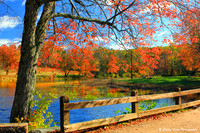 Overlooking Papermill Pond