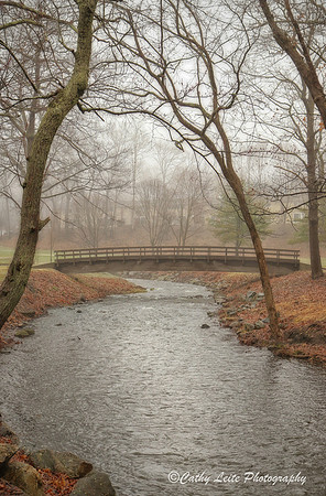 Fog at Hop Brook Golf Course