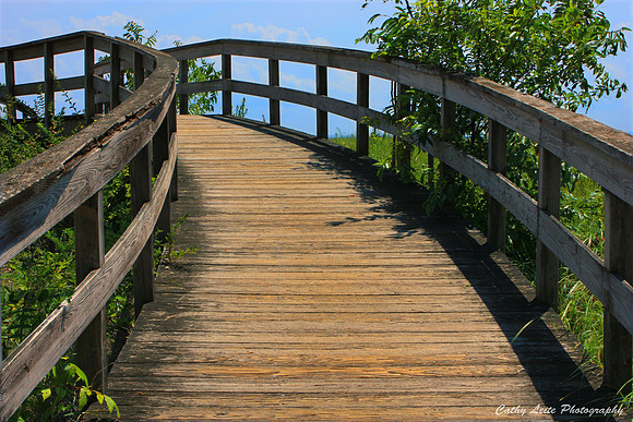 Boardwalk at the Center