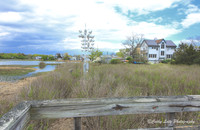 Early Spring at the Coastal Center