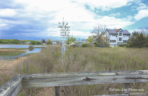 Early Spring at the Coastal Center