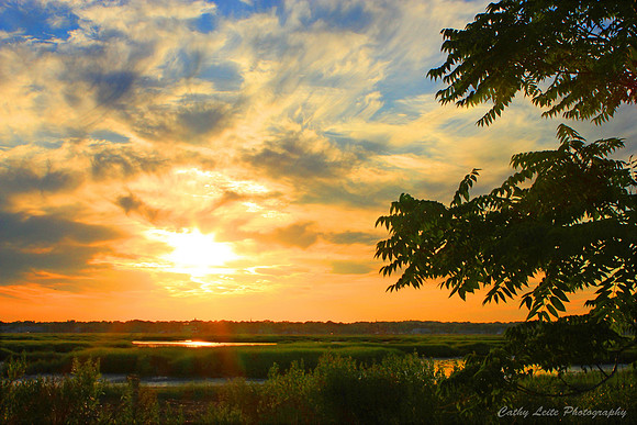 Glowing Sunset