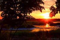 Shimmering Sunset