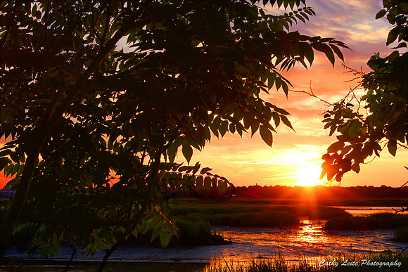 Shimmering Sunset 2
