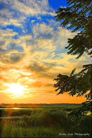 Glowing Sunset - Vertical
