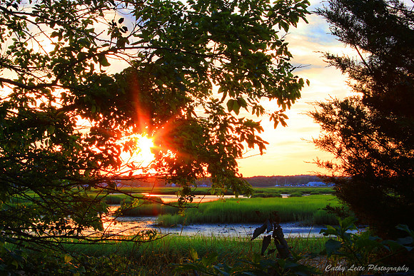 Sunset Marsh