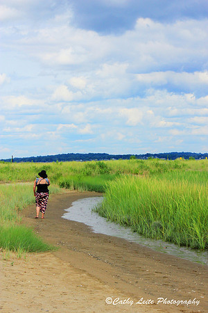 A Walk on the Beach