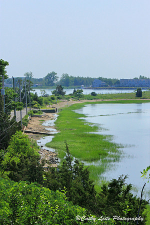 Coastal Center View