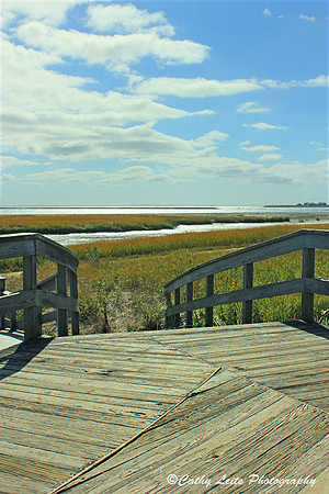 Boardwalk at the Coastal Center
