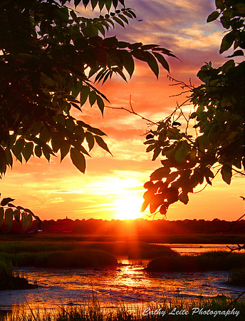 Shimmering Sunset - Vertical