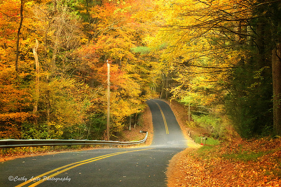 Autumn in Connecticut