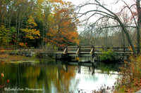 Autumn Footbridge