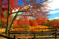 An Autumn View