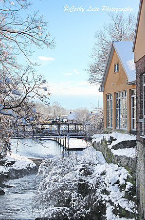 Winter Charm 2 - Vertical