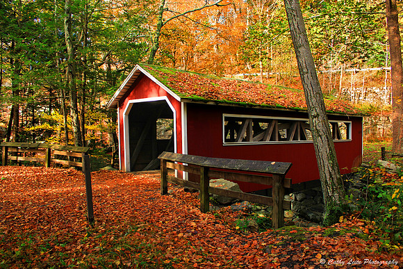 Burr Arch Bridge in Autumn