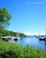 Summer Harbor
