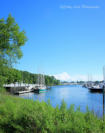 Summer Harbor