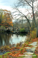 Autumn Footbridge - Vertical