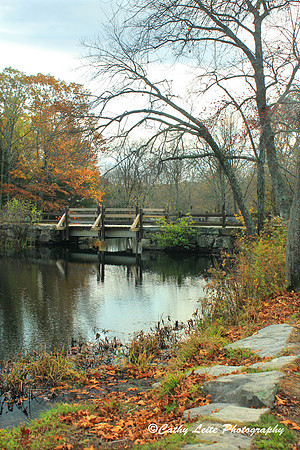 Autumn Footbridge - Vertical