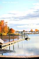 Fall at Lisman Landing