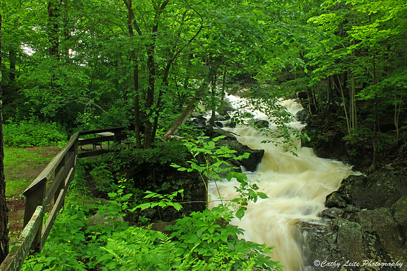 Spring Green Waterfall