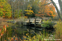 View of Footbridge in Fall