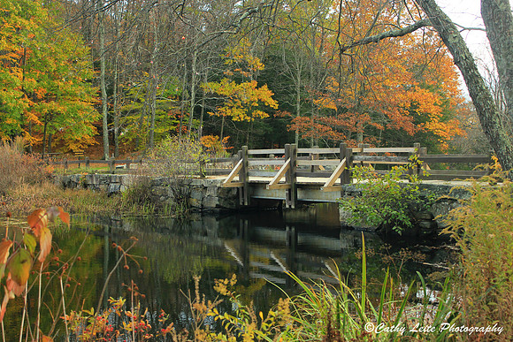 View of Footbridge in Fall