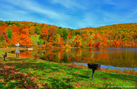 Vibrant Reflections