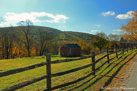 Autumn Country Scene 2