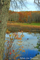 Warm Hues at Papermill Pond - Vertical