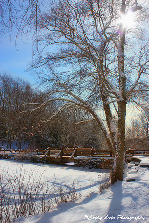 Winter Sunlight w,effect