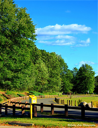 Hop Brook View