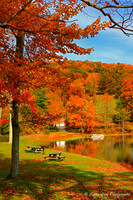 Warm Hues on the Lake
