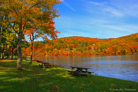 Picnic Site