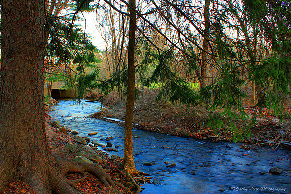 Hop Brook Stream