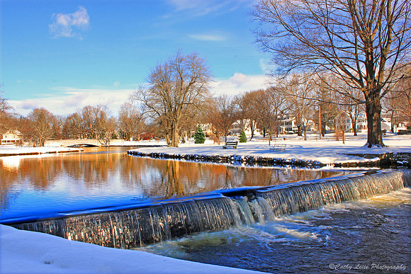 Winter at the Duck Pond
