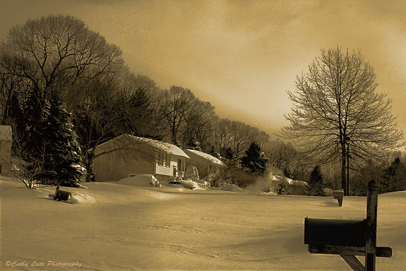 Winter Tranquility
