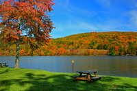 Picnic Site 2
