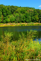Hop Brook Lake 2 - Vertical