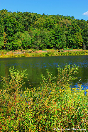 Hop Brook Lake 2 - Vertical