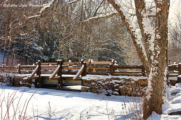 Winter Footbridge