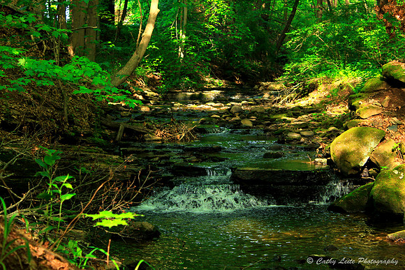 Sunlit Stream