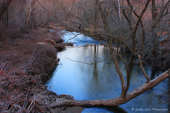 Natures Art
